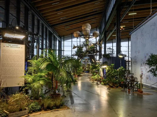 De l’art et des graines, voyage artistique et scientifique au cœur de l’Aéroflorale II © Didier Théau