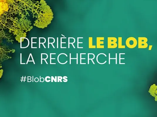 Derrière le blob, la recherche