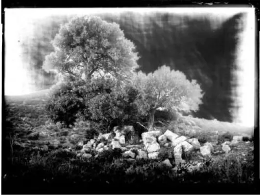 Exposition Trésors photographiques du Muséum de Toulouse