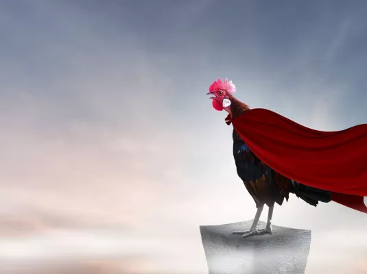 Les oiseaux extraordinaires © khunnok studio via AdobeStock