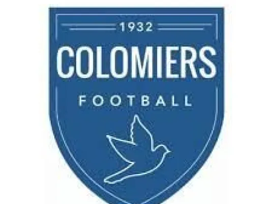 Football : Colomiers / Rodez