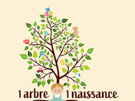 1 ARBRE 1 NAISSANCE