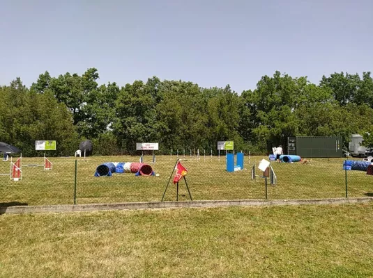 Grand concours d’agility © Cercle canin aussonnais
