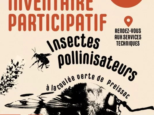 Inventaire participatif : Insectes pollinisateurs