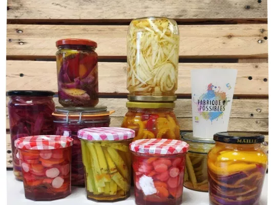 Fabrique des possibles - Atelier lactofermentation