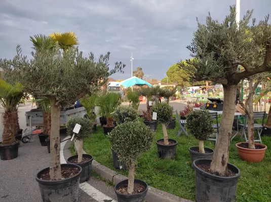 36e Foire aux plantes © VAC
