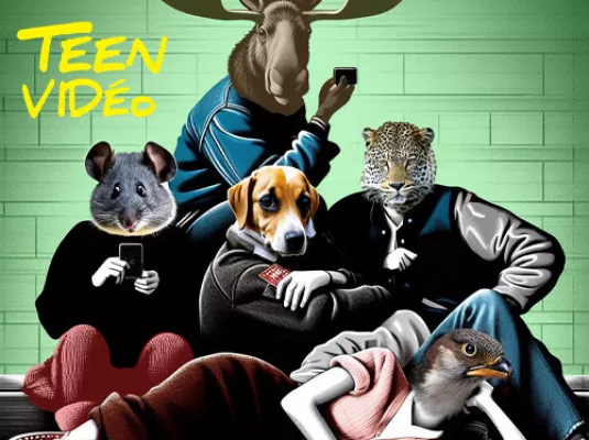 Teen vidéo © Les Vidéophages