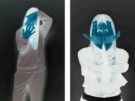 Photographier l'émotion : une oeuvre entre deux regards © © Classe de 3ème prépa pro du lycée polyvalent Docteur Clément de Pémille – Graulhet (81)