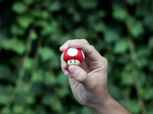 Ludoswitch :  jeux de société et jeux vidéo