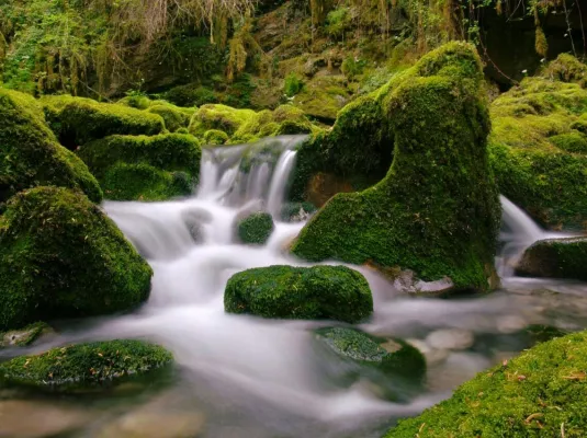 Randonnée “La petite Amazonie des Pyrénées” © Wikimedia Commons
