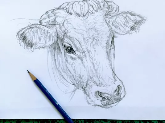 Anatomie, dessin et secrets de la création animalière