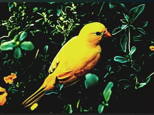 [SCROLL !] Serina : Le Grand Simulateur d'Évolution