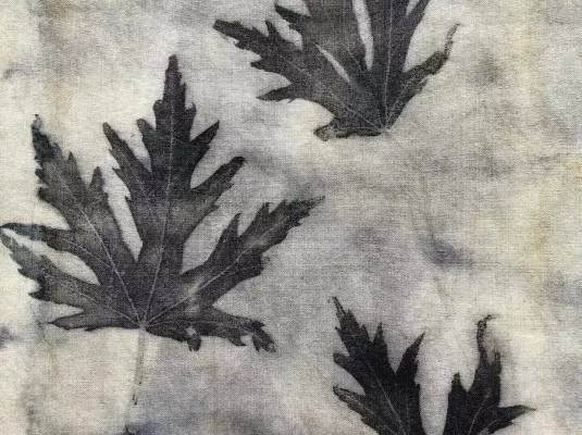Atelier de curiosité : impression botanique, les feuilles d'automne sur soie