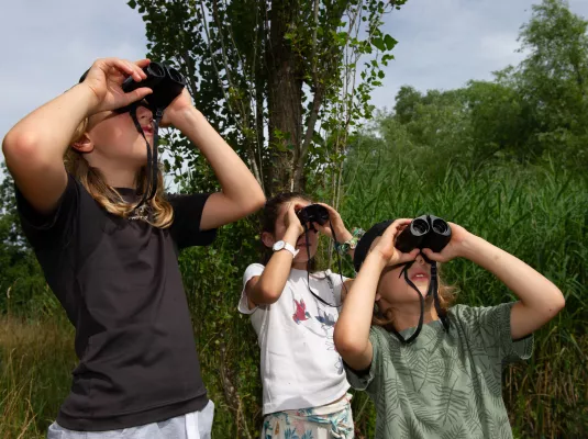 Balade nature : zone humide et biodiversité printanière
