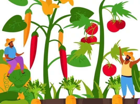 Atelier jardinage : découvrir les aromatiques