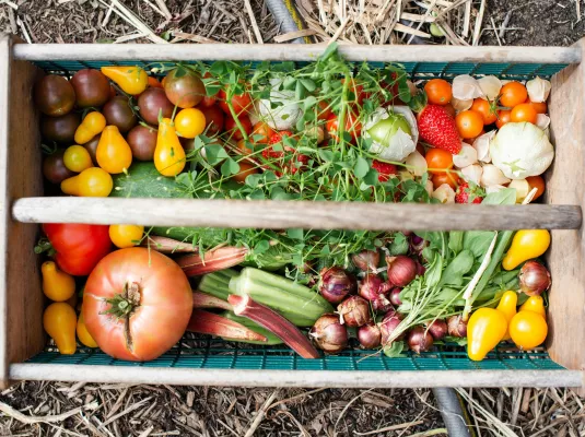 Repas-débat : vers une sécurité sociale de l’alimentation ? © Zoe Richardson via Unsplash