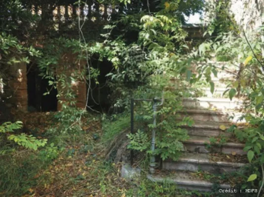 Jardins reconquis par le Collectif HDFS