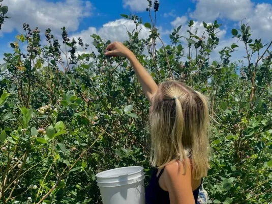Atelier de curiosité : initiation à la cueillette gourmande © Freepik