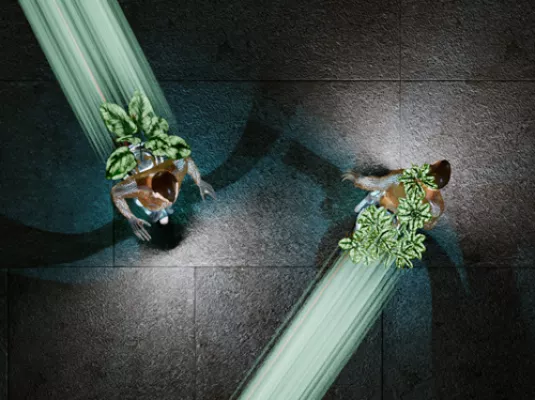 À l’écoute du vivant. Biomimétisme, entre arts et sciences © Pierre-Jean Giloux, BioluminescenTTower. 2026 © Adagp, Paris, 2026. Courtesy de l’artiste et de Solang production.