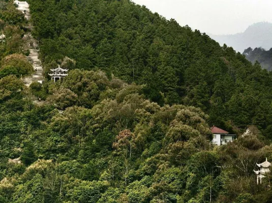 Projection : ''Séjour dans les monts Fuchun'' de GU Xiaogang © ''Séjour dans les monts Fuchun'' de GU Xiaogang