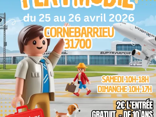 EXPOSITION - VENTE PLAYMOBIL