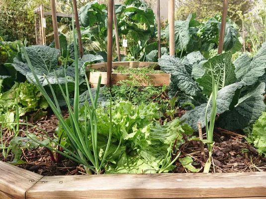 Atelier "biodiversité" au jardin pédagogique des Violettes