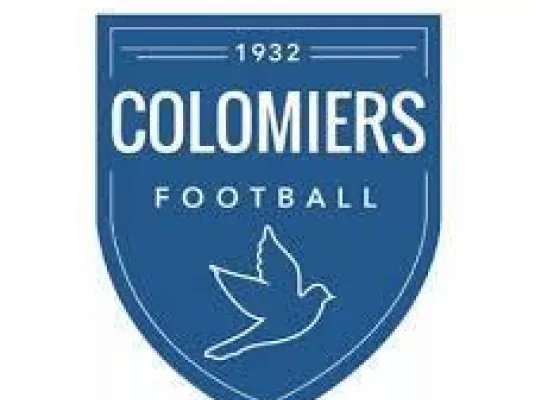 Football : Colomiers / Castanet