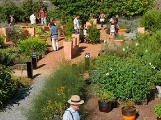 VISITE AUX JARDINS DU MUSÉUM