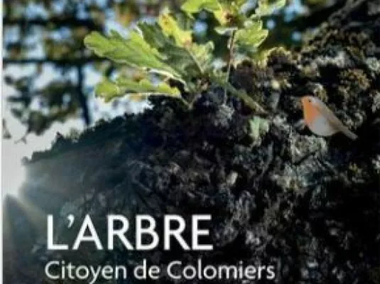 Exposition L'arbre citoyen de Colomiers