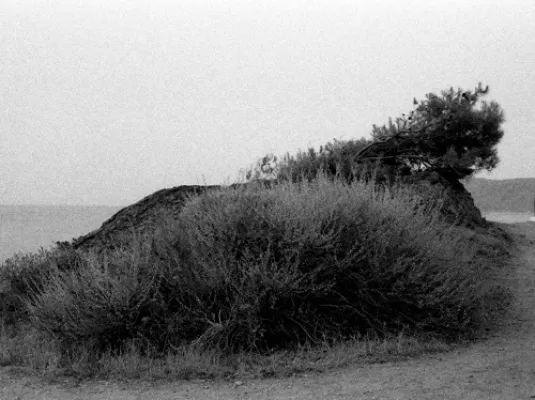 La rocà fragil & Là où se loge le manque © Charlotte Auricombe