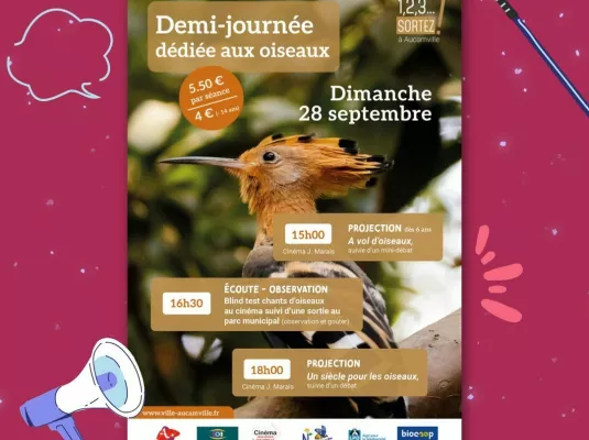 Demi-journée dédiée aux oiseaux