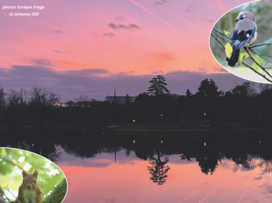 Reynerie Miroir fête ses 50 numéros © Enrique Fraga et Jehanne SBX