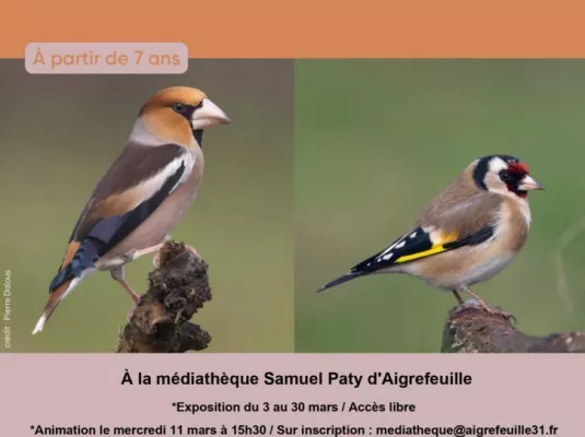 Exposition "Les oiseaux du coin" - Du 3 au 30 mars