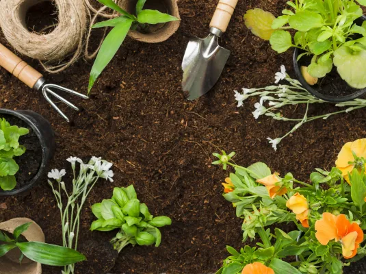 Des solutions faciles et naturelles pour mon jardin, c’est possible ! © Magnific