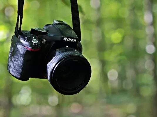 Balade nature : initiation à la photo et vidéo naturaliste