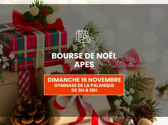 APES – Bourse de Noël
