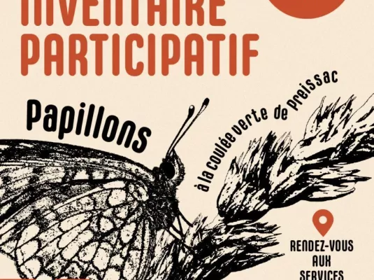 Inventaire participatif : Papillons