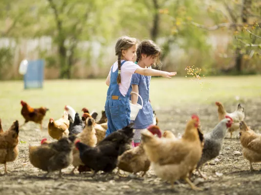 Visite d’une ferme pédagogique © Magnific