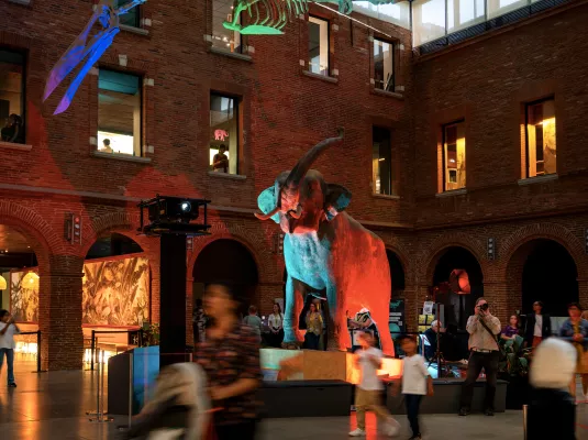 Nuit européenne des musées au Muséum de Toulouse