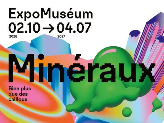 Minéraux, bien plus que des cailloux © Vif Design