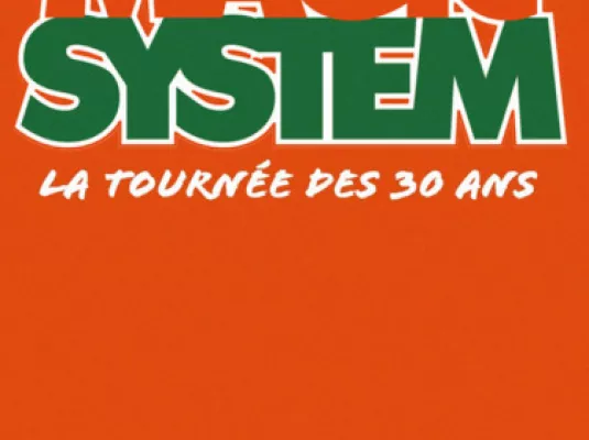 MAGIC SYSTEM