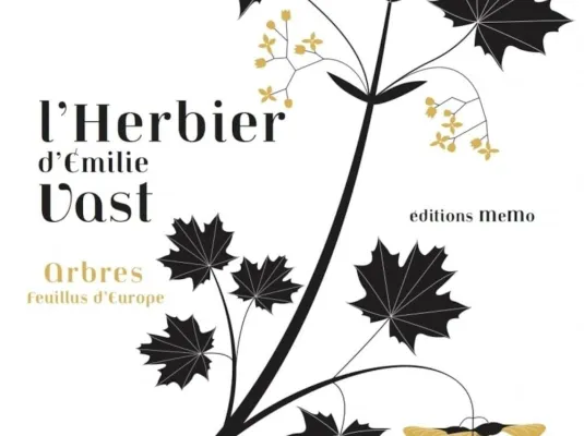 Les herbiers d'Émilie Vast © Émilie Vast
