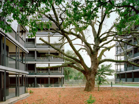 Architectures en transitions © Betillon & Freyermuth Architectes - La paille Logements à Saint Martin du Touch © Maxime Delvaux
