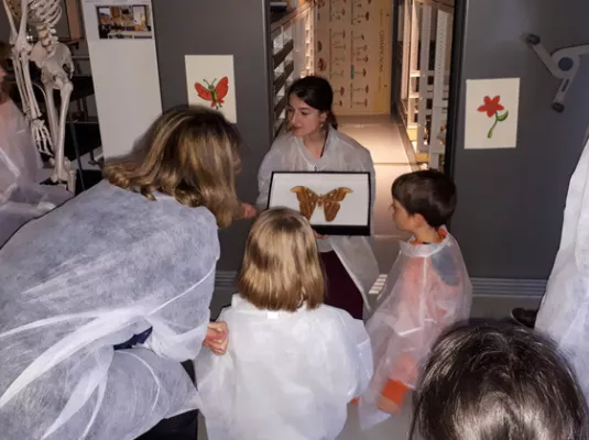 Visite des Réserves pour les tout-petits