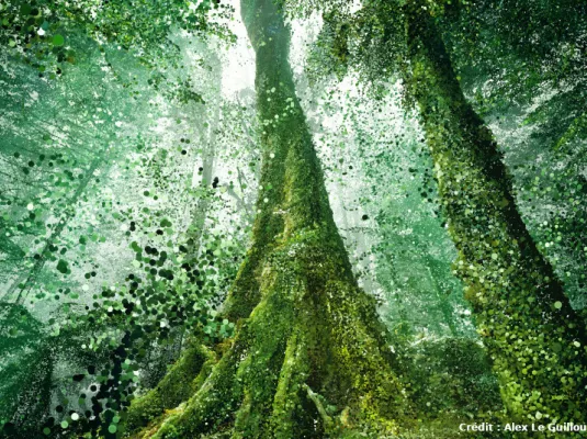 [SCROLL !] Monde végétal, numérique et poésie par Alex Le Guillou