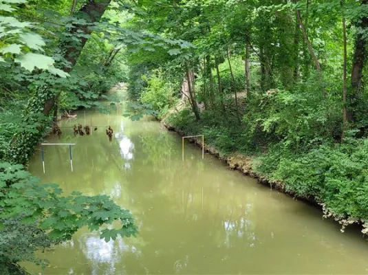 La biodiversité en bord de Garonne © Soraya Benmeradi
