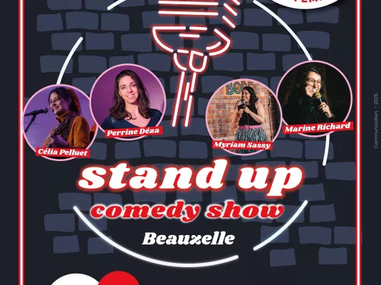 Stand up Comedy Show