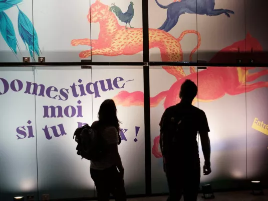 Visite adaptée de l'exposition "Domestique-moi si tu peux !" © Marianne Thazet, Muséum de Toulouse