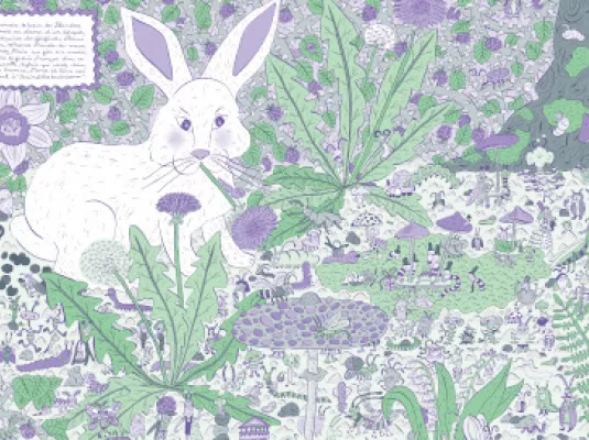 Rencontre avec l’autrice Zelda Pressigout - Vendredi 5 décembre