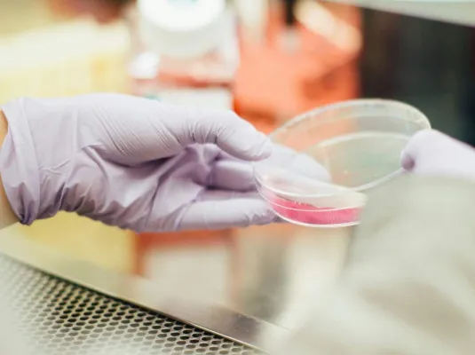 Des cellules pour réparer le corps © Crédit : magnific